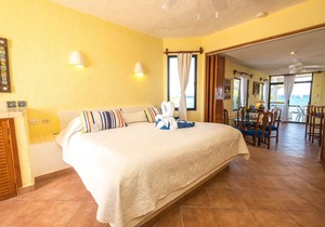 Charming penthouse with a stunning ocean view - Beachfront, AC, Wifi