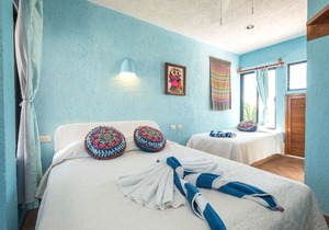 Charming penthouse with a stunning ocean view - Beachfront, AC, Wifi