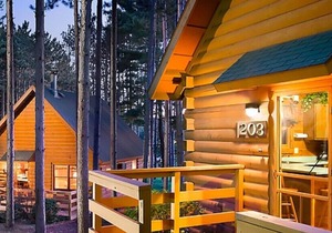 CHRISTMAS MTN VILLAGE, 2 BEDROOM CABIN, NO cleaning fees! Wisconsin Dells, WI