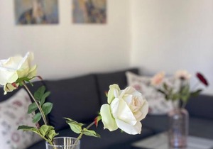 City Apartment am Rhein 2