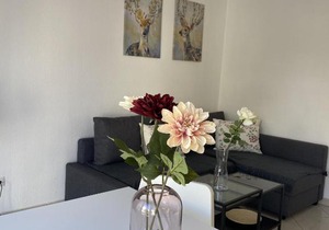 City Apartment am Rhein 4