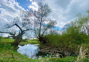 Close to The Cotswold Water Park, Birch is the perfect base to explore the local surroundings.