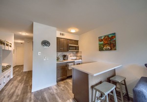 Comal Riverfront with Pool & Hot tub! Walk to downtown Tube rental next door!