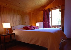 Come up to the 'down to earth' mountain village LesDiablerets to relax and enjoy