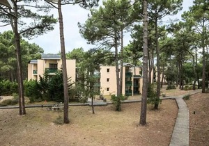 Comfort 1-bedroom apartment (sleeps 5)