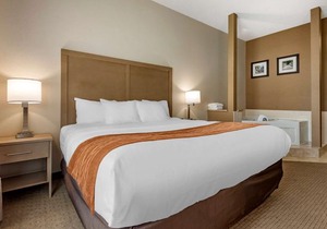 Comfort Inn & Suites Farmington - Victor