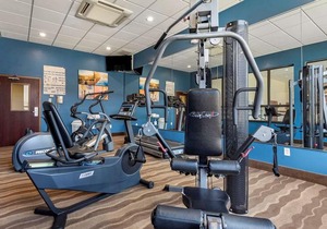 Comfort Inn & Suites Farmington - Victor