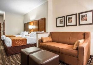 Comfort Inn Summerville - Charleston
