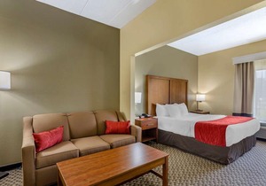 Comfort Inn Waynesboro