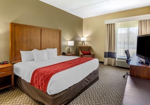 Comfort Inn Waynesboro
