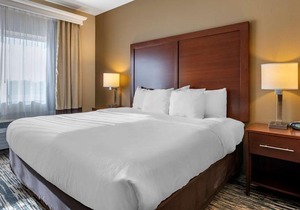 Comfort Suites Keeneland/Airport