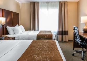 Comfort Suites Wixom Novi