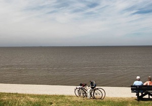 Comfortable chalet with dishwasher, near the Wadden Sea