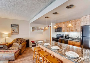 Completely Renovated, Immaculate Condo. Steps Away from Downtown TE105