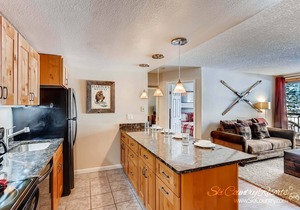 Completely Renovated, Immaculate Condo. Steps Away from Downtown TE105