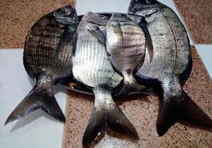 Complexe kasbah lagzira