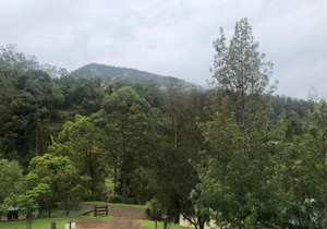 Copeland Cabins
