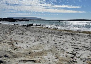 Costa loreto