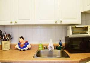 Cosy 1 Bedroom Flat in Yorkville