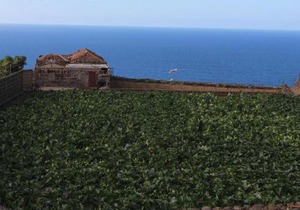 Cosy chalet with panoramic views in Icod de los Vinos - 70m²