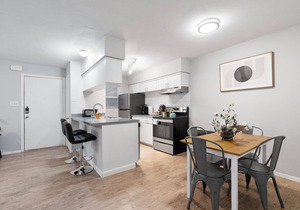 Cozy 1 Bedroom Apt in Highland Austin 3372