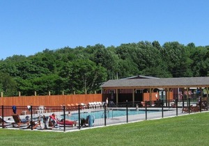 Cozy 1-BR cabin with additional sleeping loft. Less than 5 mi from Cooperstown