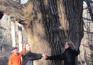 Cozy 1-BR cabin with additional sleeping loft. Less than 5 mi from Cooperstown