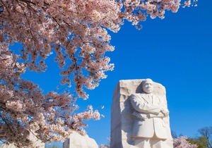 Cozy Capitol Hill Apt 1 Minute Walk To Metro w/Parking