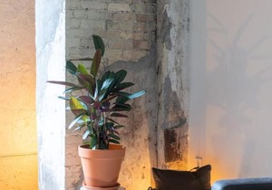 Cozy Double Queen Apartment Close to Fiserv with Parking