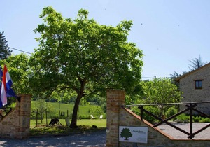 Cozy Holiday Home in Pietrafitta Umbria with Garden