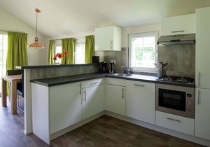 Cozy lodge with a dishwasher in the Achterhoek