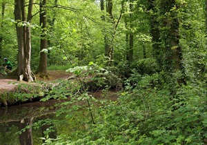 Cozy lodge with a dishwasher in the Achterhoek