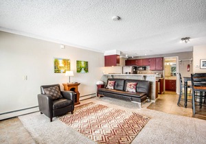Cozy mountain view condo with patio - on bus route & great for skiing & boating