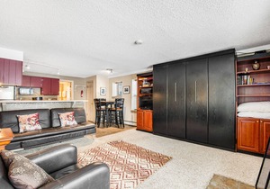 Cozy mountain view condo with patio - on bus route & great for skiing & boating