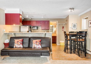 Cozy mountain view condo with patio - on bus route & great for skiing & boating
