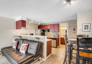 Cozy mountain view condo with patio - on bus route & great for skiing & boating