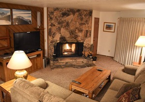 Cozy & Spacious 2 bedroom condo with Business Wifi