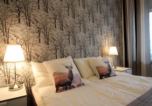 Cozy, Superior-level two-bedroom apartment near Helsinki city center (ID 8758)