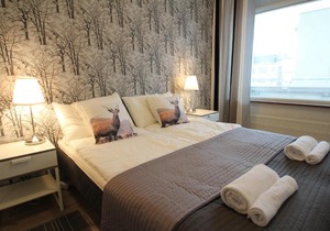 Cozy, Superior-level two-bedroom apartment near Helsinki city center (ID 8758)