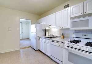 Crystal City Apt | Gym & Prime Location