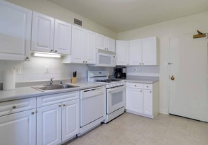Crystal City Apt | Gym & Prime Location