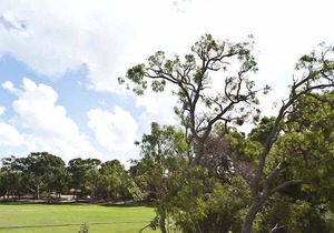 Cute and affordable park side accommodation