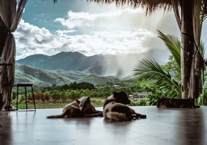 Deejai Pai Backpackers