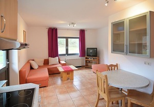 Delicate Apartment in Hüddingen with Terrace