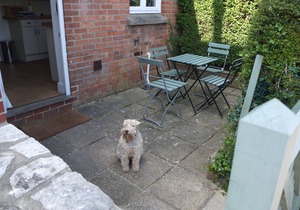Delightful 2 Bedroom Holiday Cottage In Studland Dorset 6 Mins. Walk From Beach