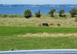 Delightful Holiday Home in Broager with Terrace