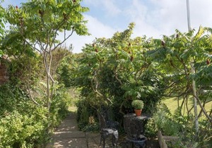 Dell Cottage