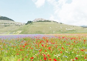 Deluxe Apartment Residence Belohorizonte