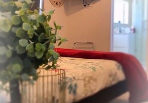 Deluxe Queen Private Room 1 | Private Bathroom - Flatbush Holiday Accommodation