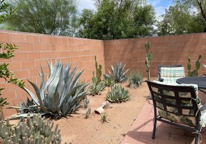 Desert Morada Casita B 2Bed/2Bath Dog Allowed max2